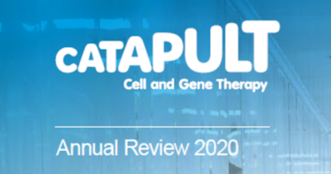 Press release: Annual Review 2020 highlights impact on growth and productivity in the UK cell and gene therapy industry