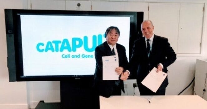 Press Release: Cell and Gene Therapy Catapult enters into partnership with  the Japanese Society for Regenerative Medicine